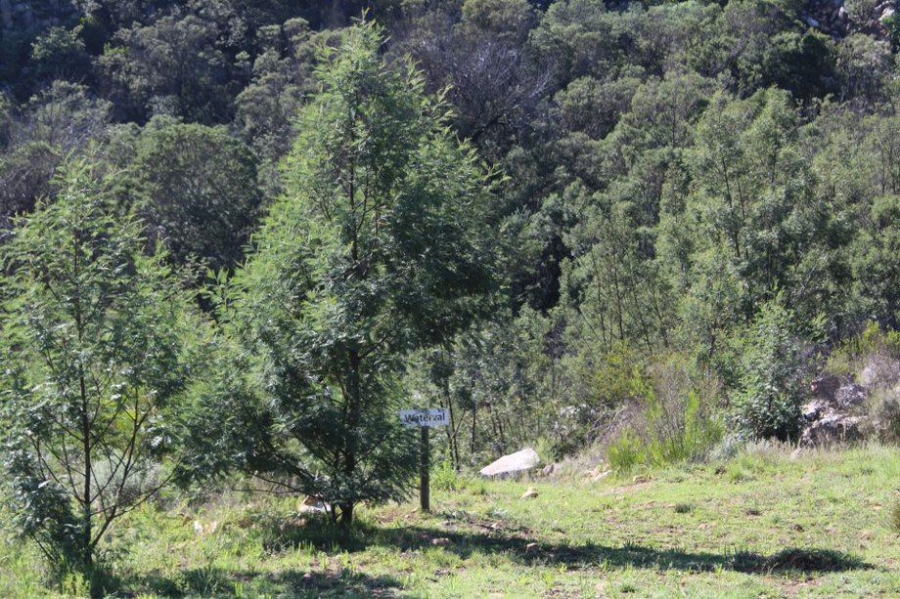 0 Bedroom Property for Sale in Haarlem Western Cape